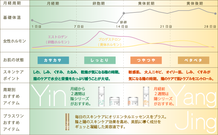 美肌周期のサイクル表