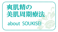 爽肌精の美肌周期療法