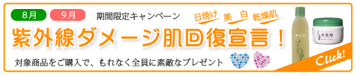 ���O���_���[�W���񕜐錾