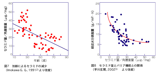 加齢によるセラミド量の減少推移グラフ