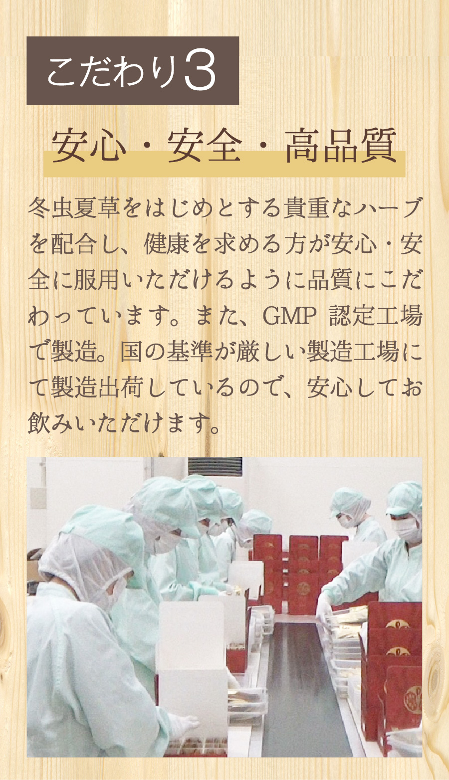 命門丹