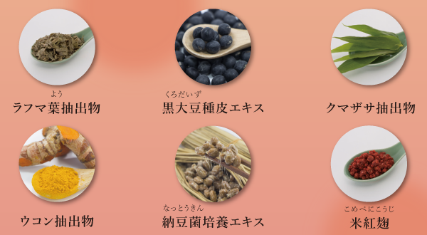 ハーブ専科CoQ10生薬