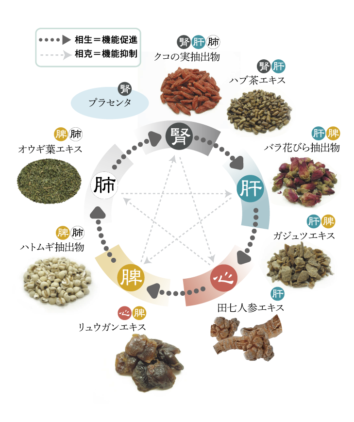 輝精水生薬五臓バナー