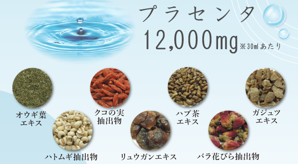 輝精水生薬
