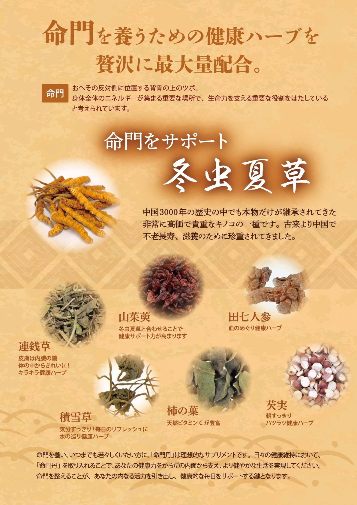 命門丹チラシ表