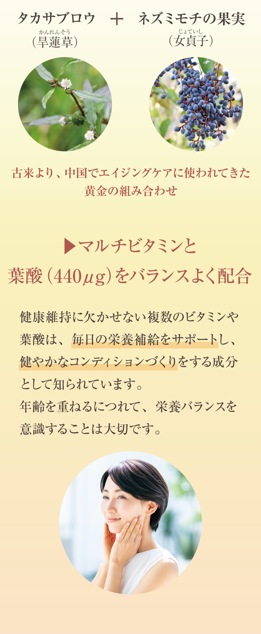 卵宝源エイジングケアLP4