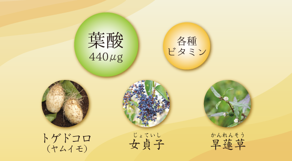 卵宝源生薬