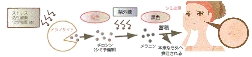 紫外線のメカニズム